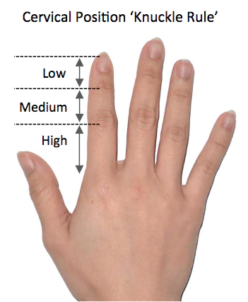 How to Find your Cervical Position