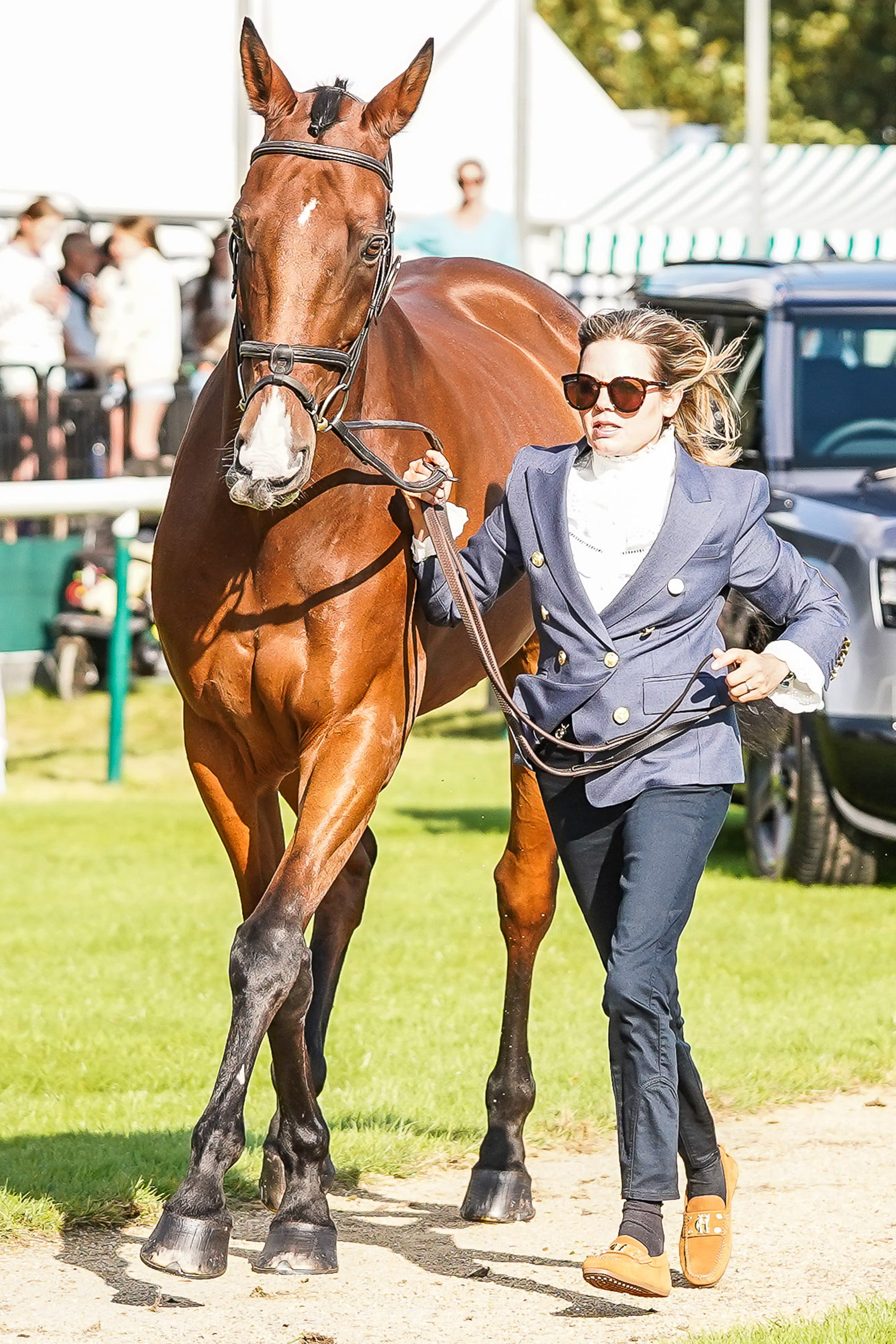 Louise Harwood's Trot Up Look One