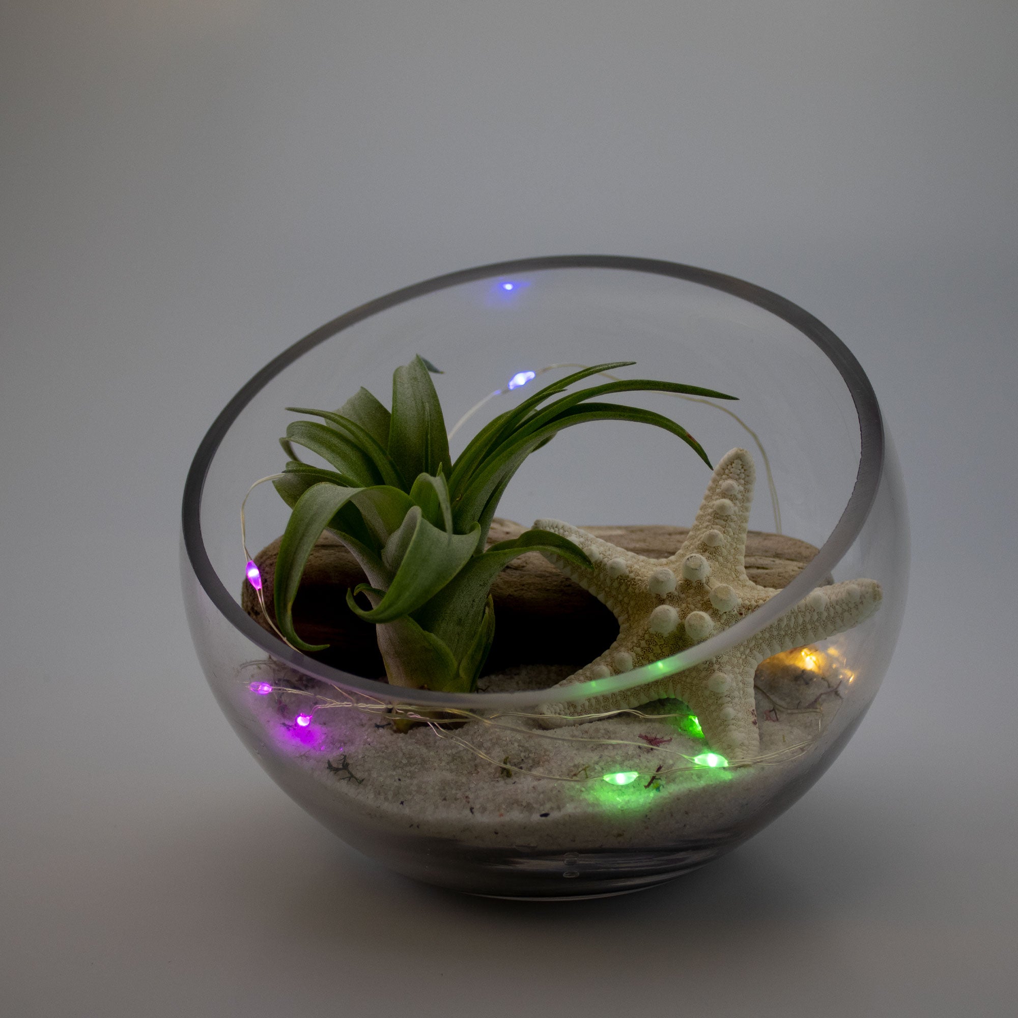 battery operated led plant light