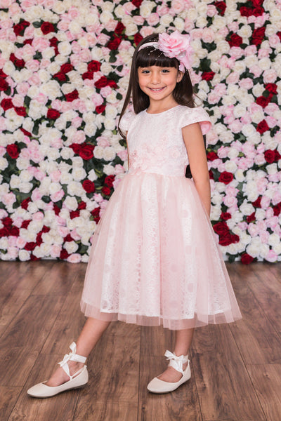 Ball Gown Blush 3D Flowers Tulle Wedding Flower Girl Dress Kids Party -  Princessly