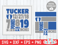 Free Free 284 Elephant Birth Stats Svg SVG PNG EPS DXF File