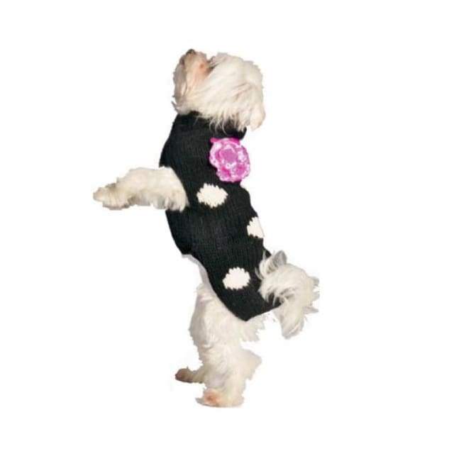 dog sweater online