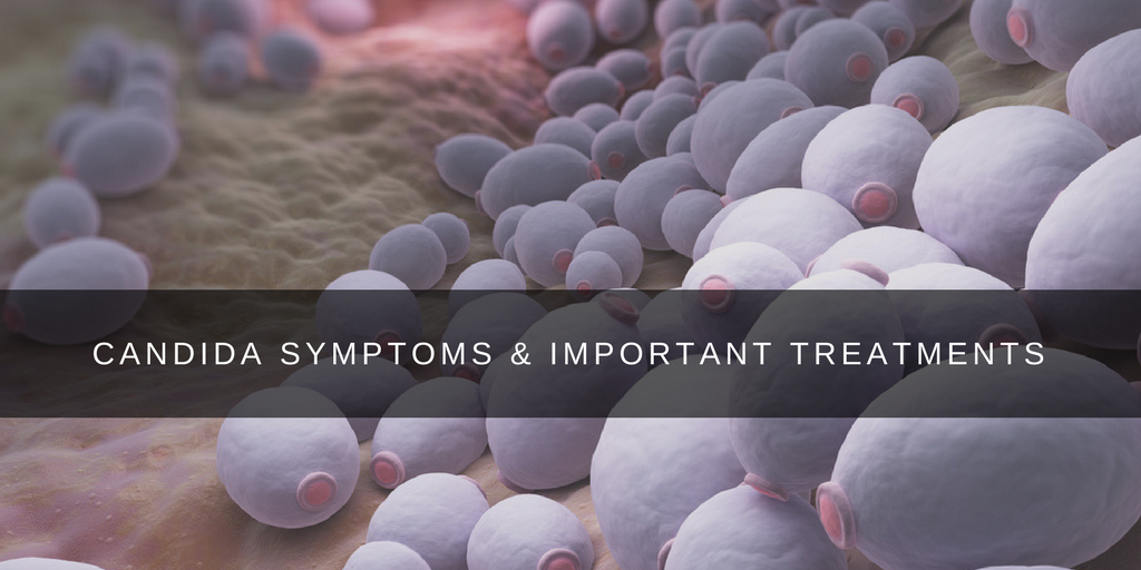 Candida Symptoms & Important Treatments