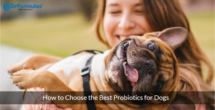best human probiotics for dogs