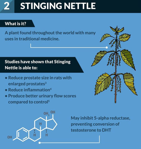 Topical dht blocker natural The 12