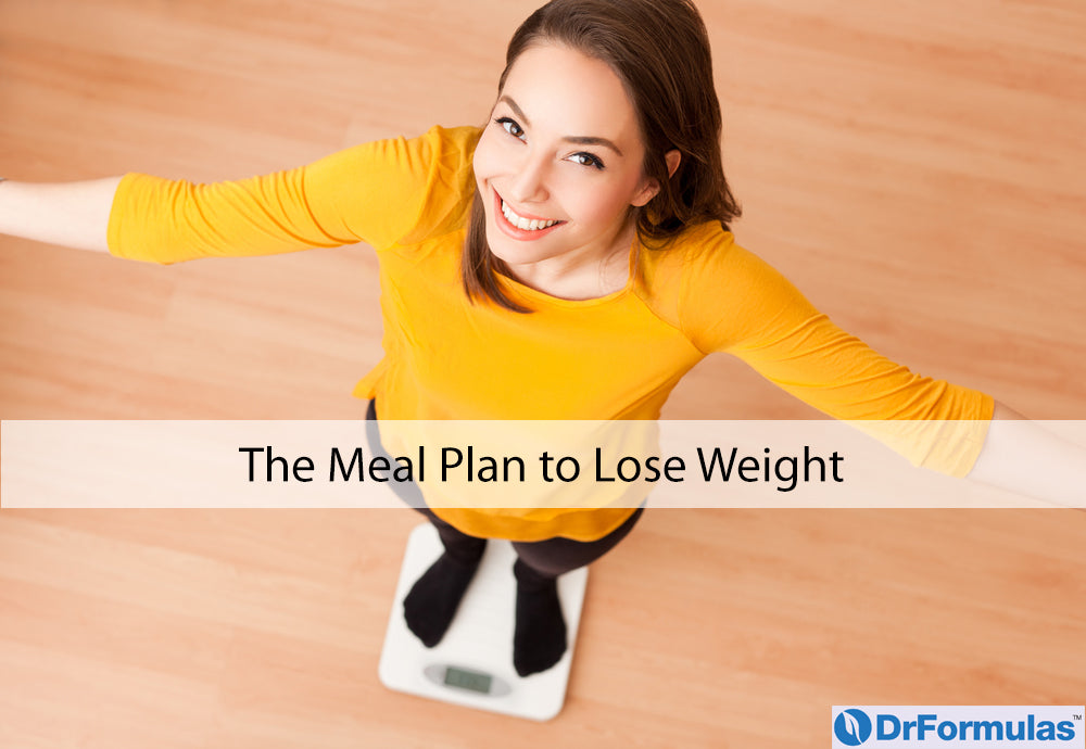 meal plan to lose weight