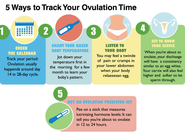 Ovulation: When Is the Best Time to Get Pregnant?
