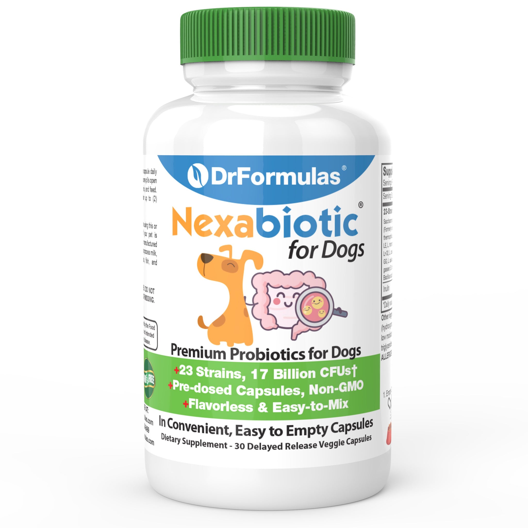 what is the best probiotic supplement for dogs