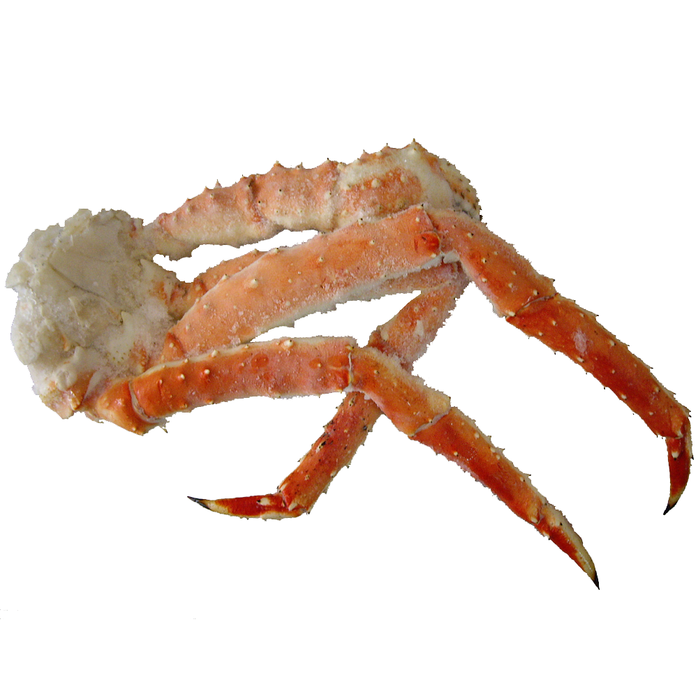 https://cdn.shopify.com/s/files/1/2122/7149/products/alaskan_king_crab_leg_1.png?v=1498464064