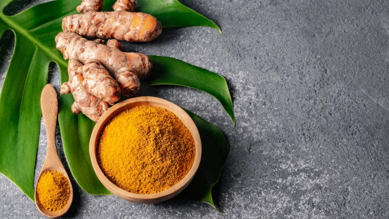 turmeric root and turmeric powder