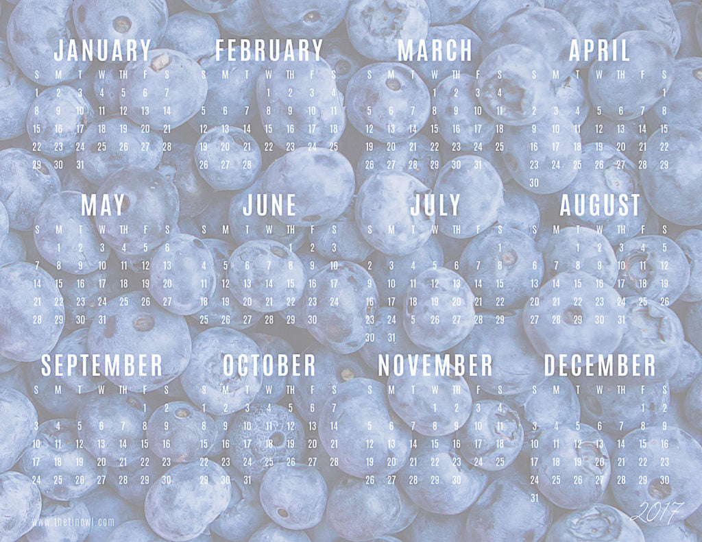 2017 Calendar The Tin Owl