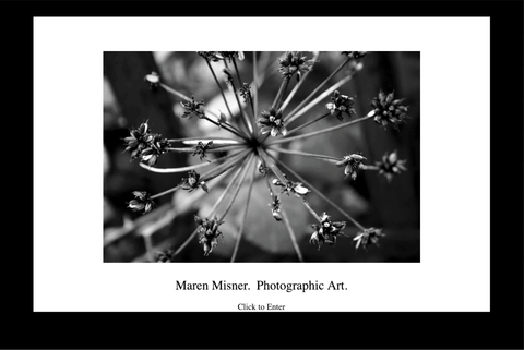 Maren Misner Photography