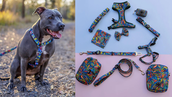 A dog wearing the Oasis pattern harness next to each Oasis pattern dog accessory