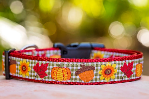 autumn dog collar fall dog collar