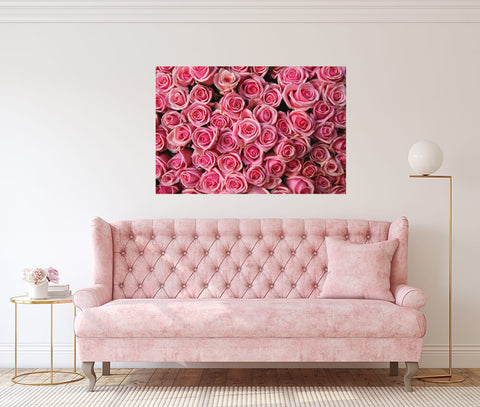 Pink Roses Wall Mural