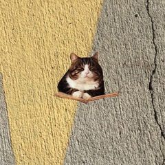 Wall Monkeys vinyl cat decal on concrete