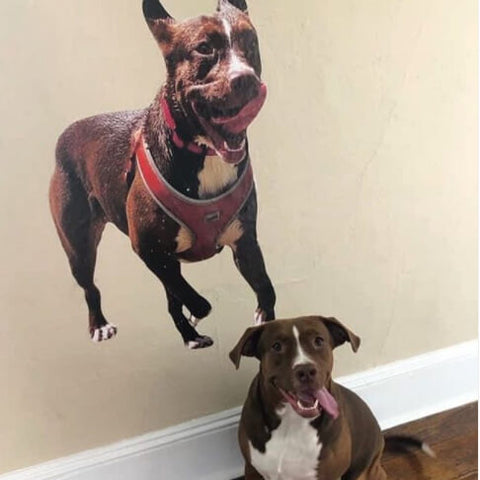 custom dog wall decal