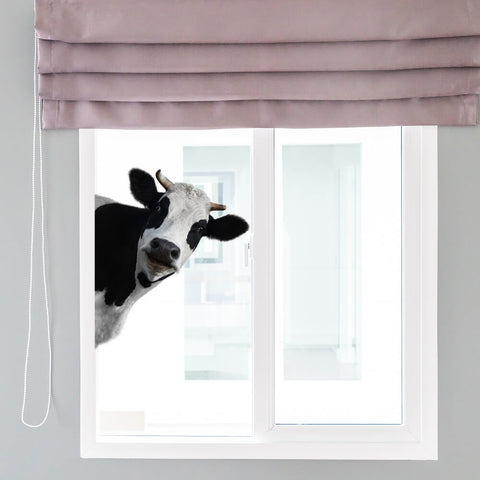 Cow wall decal