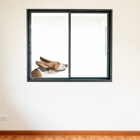 Dog in Wind wall decal