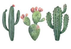 cactus decal sticker set