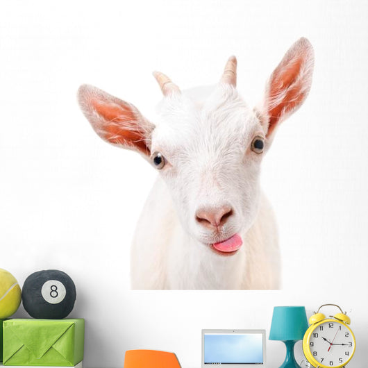 Download H250 Baby Goat Cute Funny Tongue Window Wall Decal 3d Art Stickers Vinyl Room Home Decor Home Living