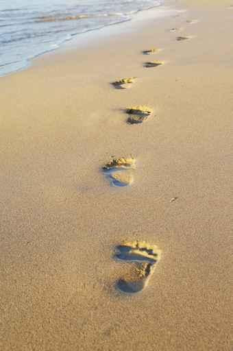 Footprints Sand Wall Decal Design 3 Wallmonkeys Com