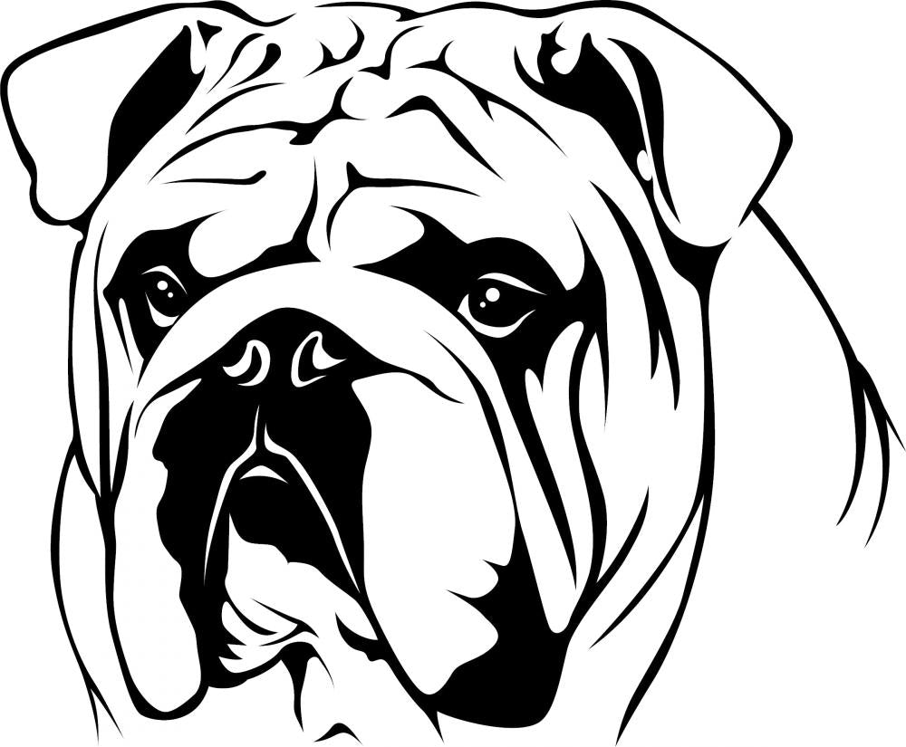 English Bulldog Portrait – WallMonkeys.com