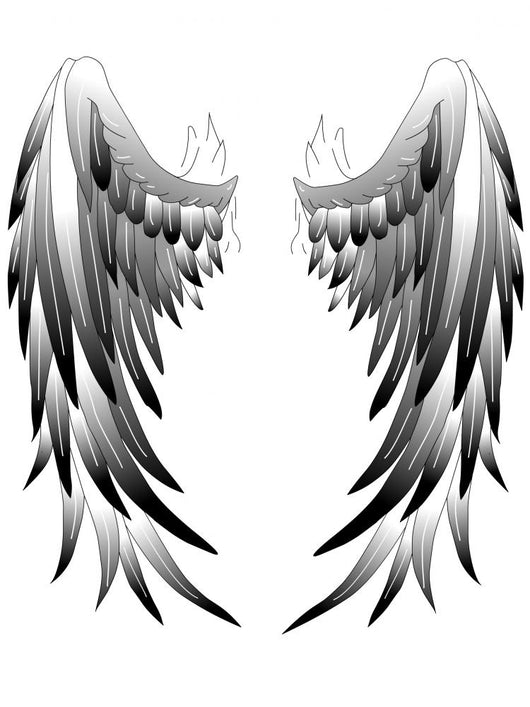 Angel Wings Angel Wings Wall Decal – Wallmonkeys