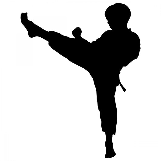 Download Boy Karate Kick Silhouette Wall Decal - WallMonkeys.com