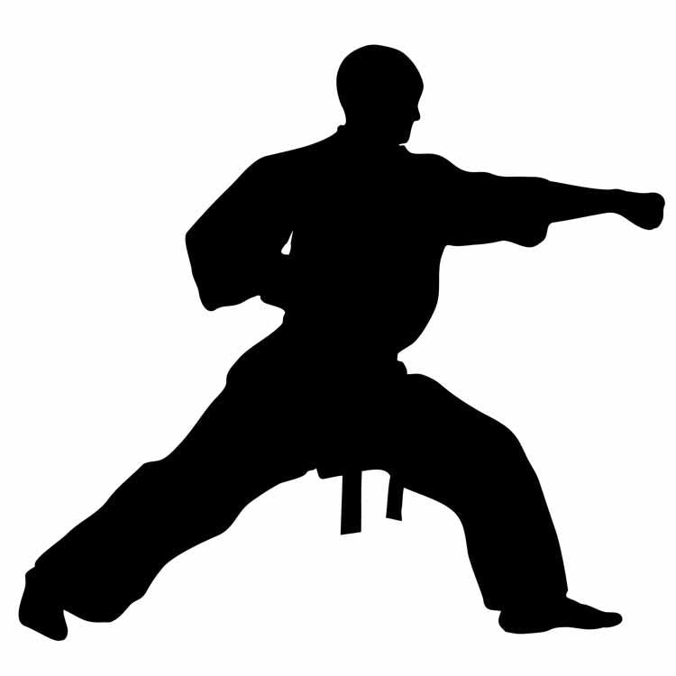 Karate Kata Wall Decal - WallMonkeys.com – Wallmonkeys