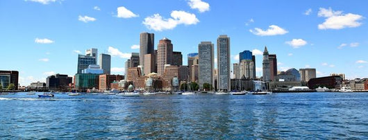 Boston Skyline Panoramic Wall Decal Wallmonkeys Com