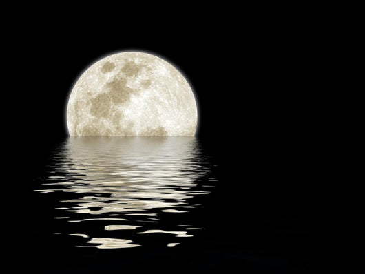Moon Over Water Wallmonkeys Com