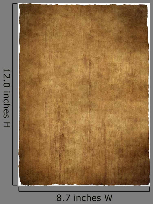 parchment papyrus texture