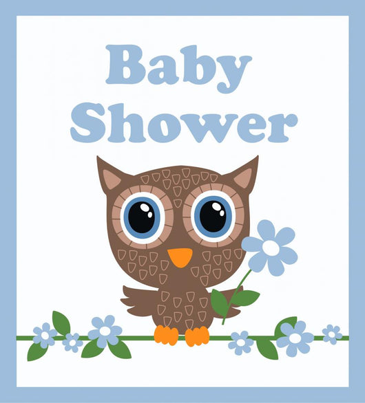 baby boy shower owl clipart