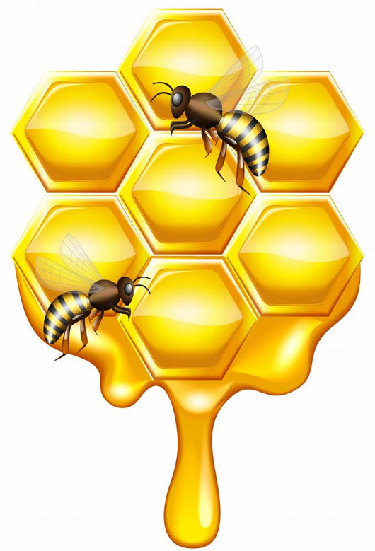 Honeycomb With Bee Drawing Download Bee Clip Art ~ Free Clipart Of Honey Honeycomb A Bee