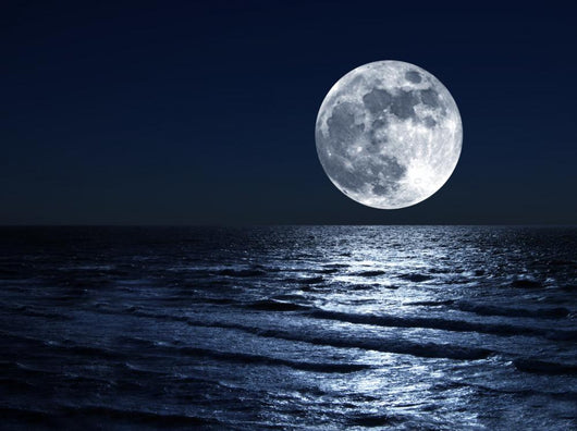 Moon Over Sea Wallmonkeys Com