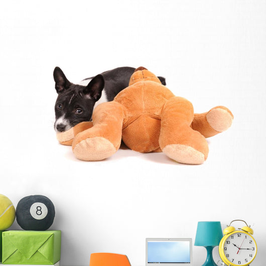 plush laptop dog toy