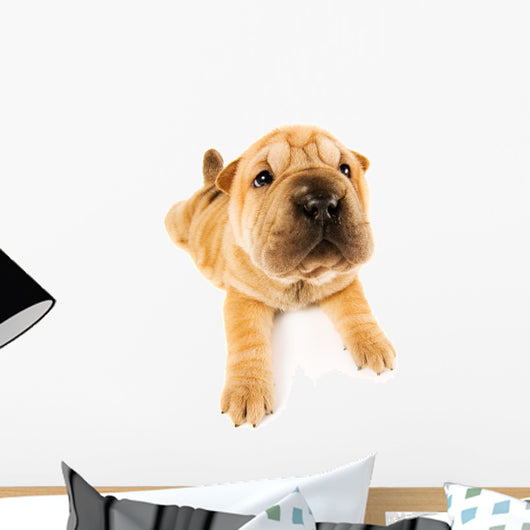 Funny Sharpei Puppy Wall Decal