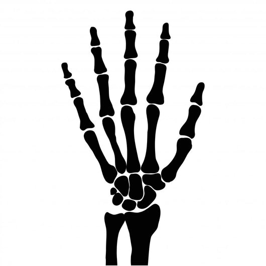 Skeleton Hand Bones Wall Decal - WallMonkeys.com