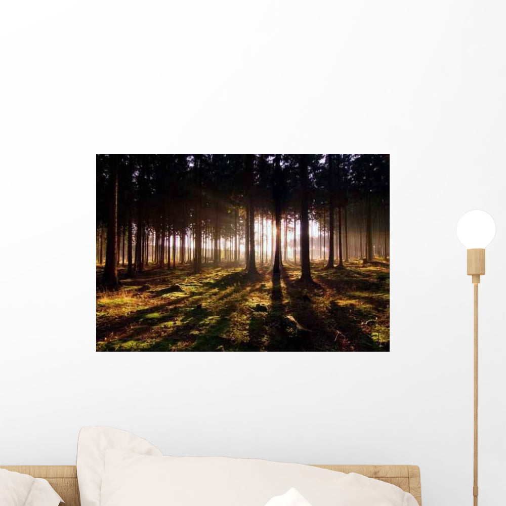 Awaken Forest Wall Decal - WallMonkeys.com – Wallmonkeys