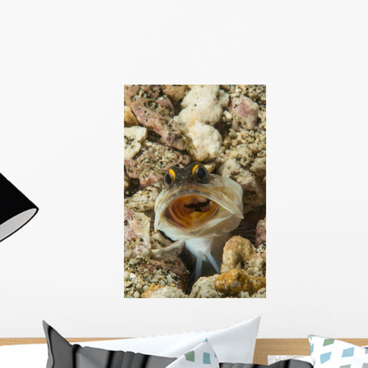Gold-specs Jawfish Its Hole Wall Decal