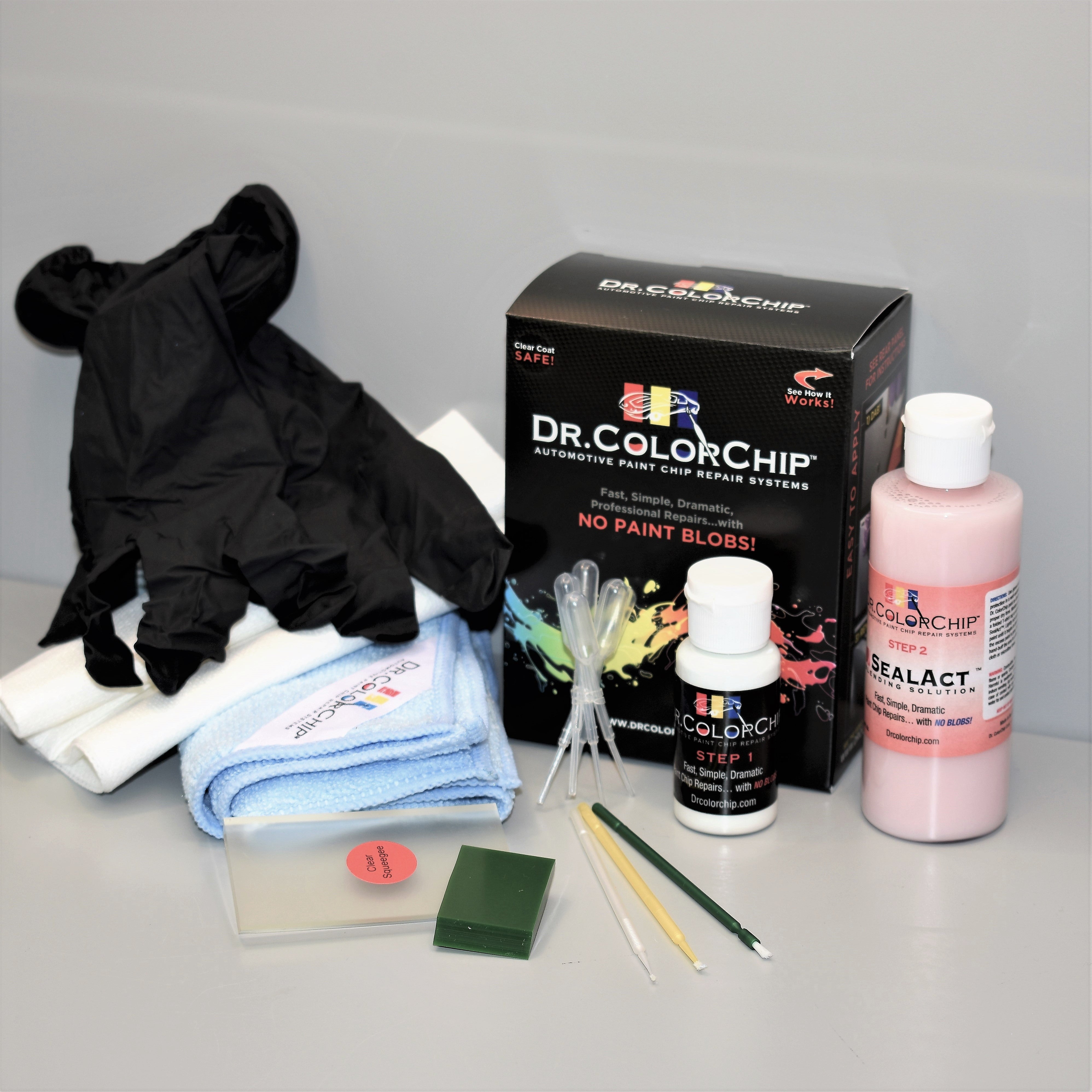 Squirt N Squeegee Plus Paint Repair Kit Dr Colorchip Sns Plus