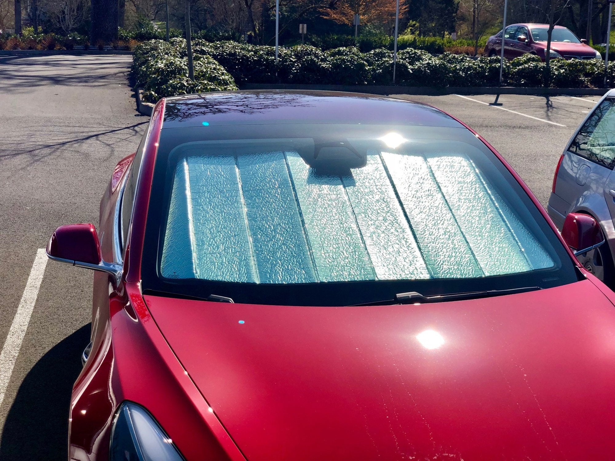 Tesla Model 3 Ultimate Reflector