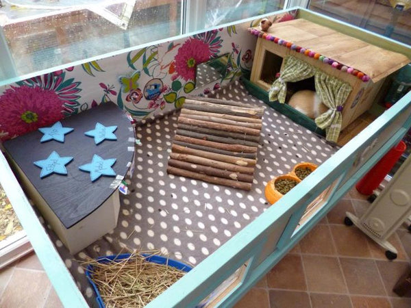 hidey house for guinea pig