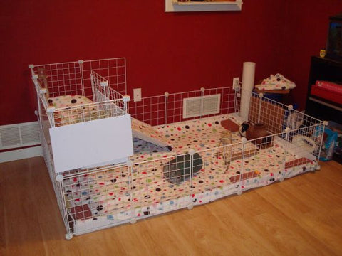 2 floor guinea pig cages