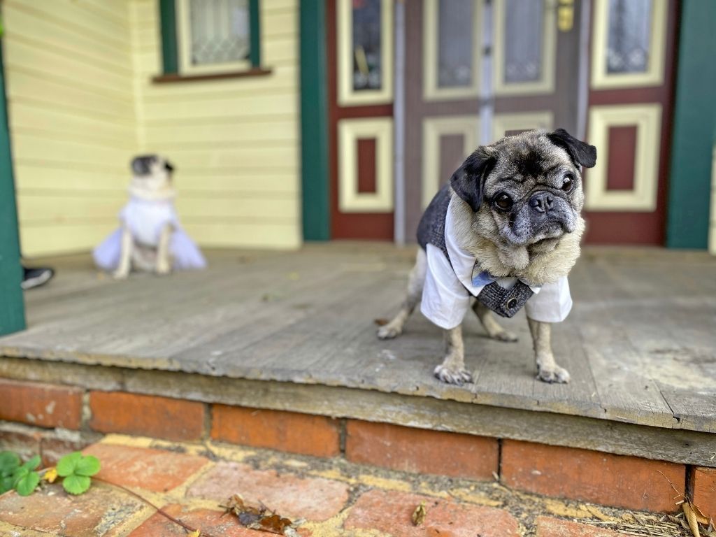 Charles dressed in a Shirt and Vest with a Bamboo Bowtie standing on a door step