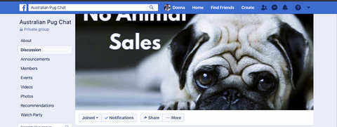 Australian Pug Chat Facebook page