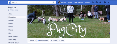 Australian Pug City Playgroup Facebook page