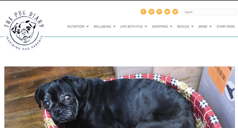 The Pug Diary website page