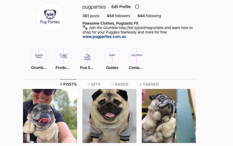 Pug Parties Instagram Pgae